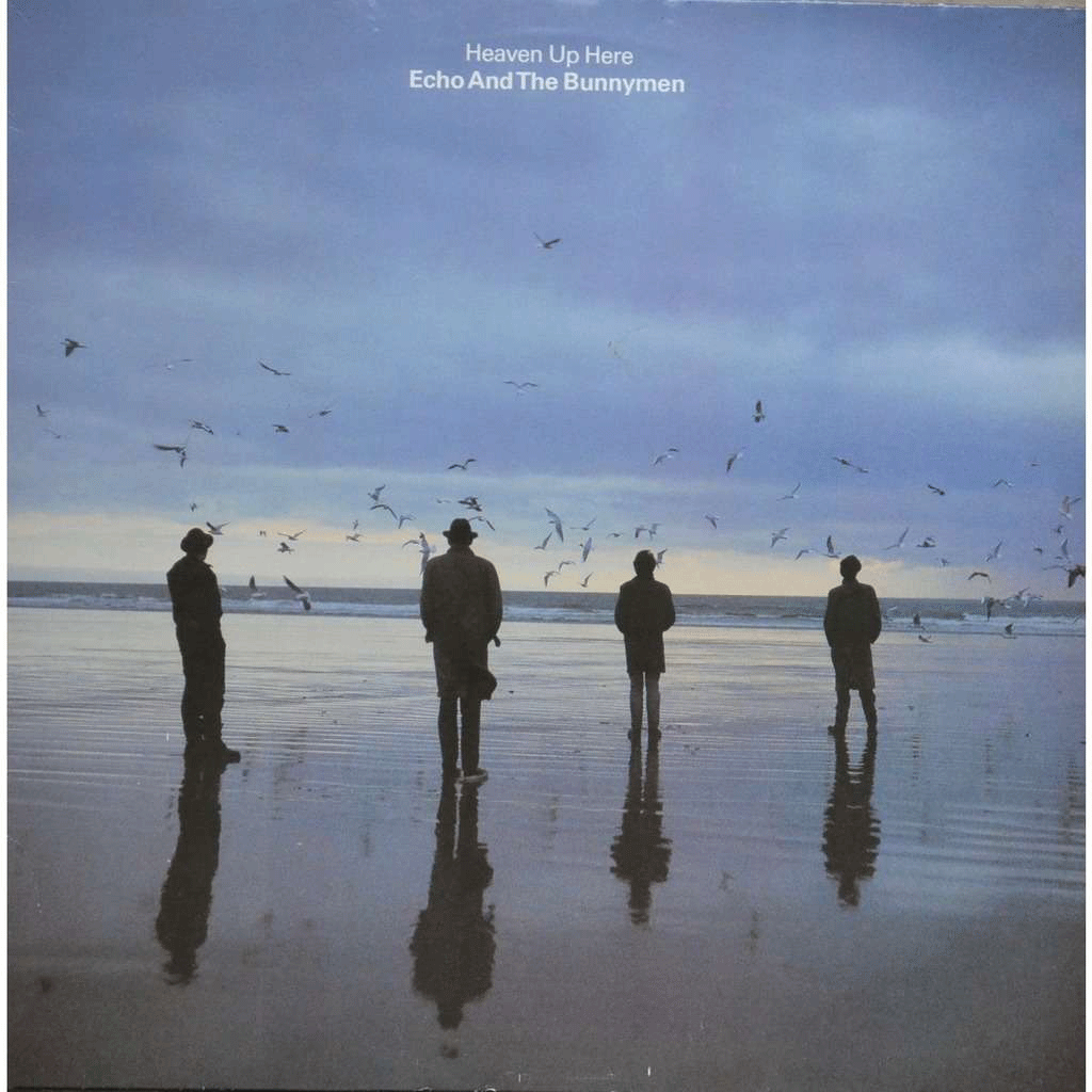 echo and the bunnymen mejores discos 1981